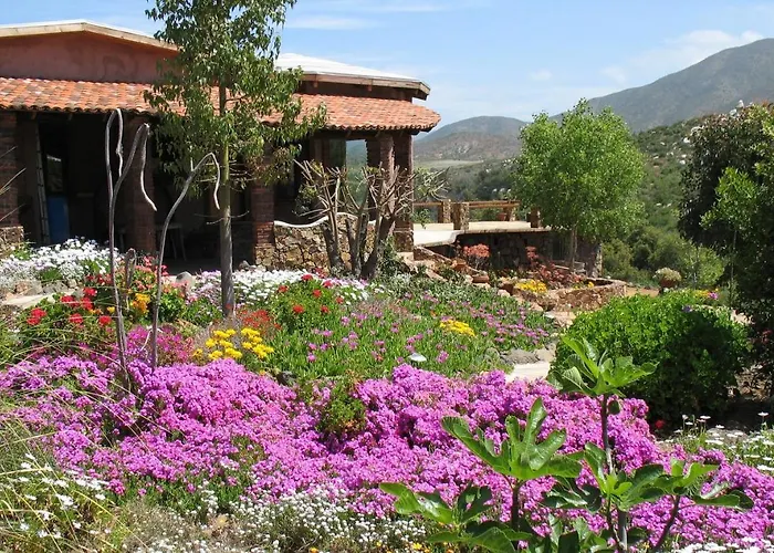 Quinta Maria En La Ruta Del Vino Bed & Breakfast Valle de Guadalupe