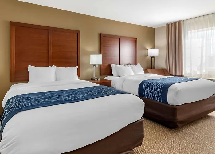 Comfort Inn & Suites Texas Hill Country Boerne