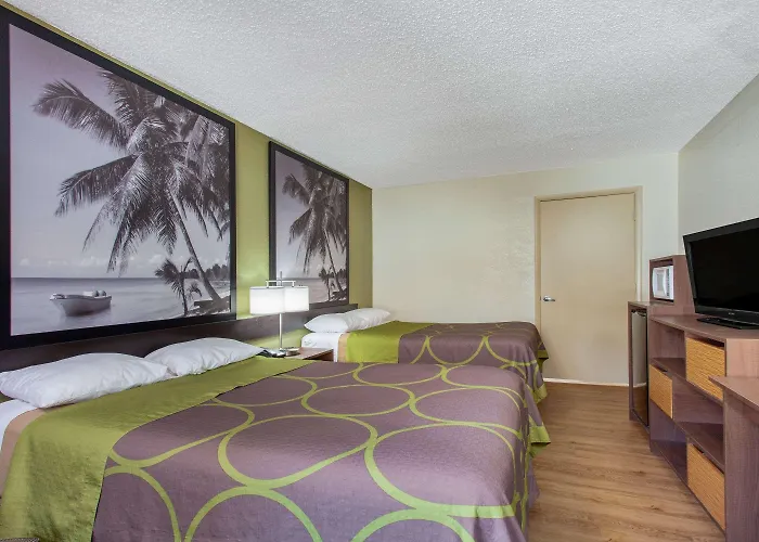 Super 8 By Wyndham Clearwater/Us Hwy 19 N Motel