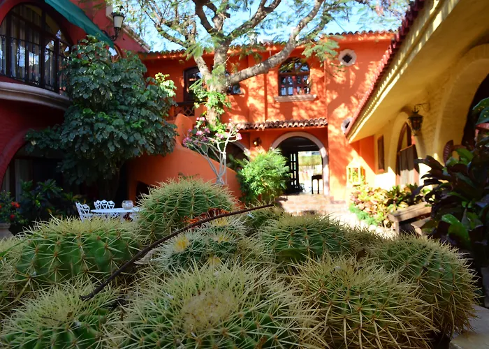 Collection O Casa Bella Hotel Boutique, Cabo San Lucas
