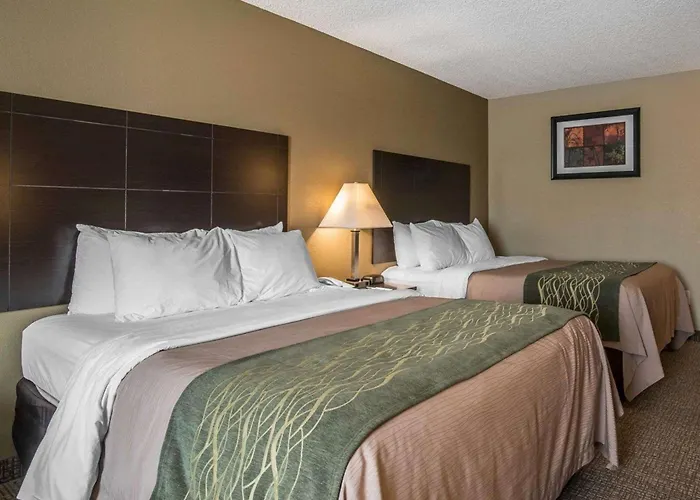 Comfort Inn Saugerties