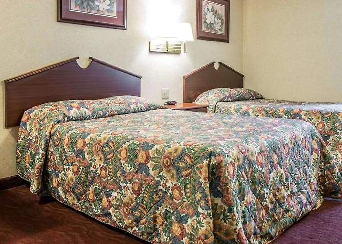 Rodeway Inn Madison Heights - Detroit