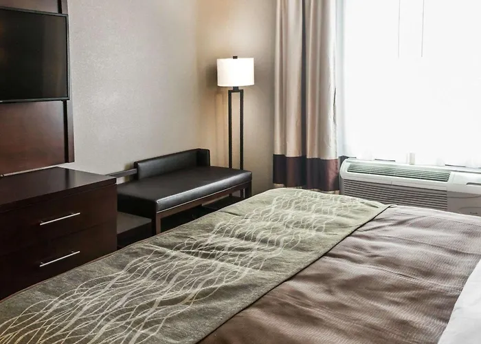 Comfort Inn & Suites Pharr - Mcallen