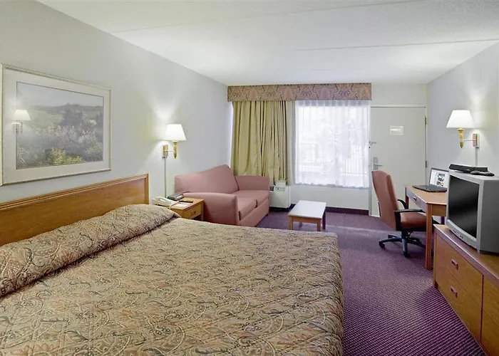 Americas Best Value Inn-Saginaw South