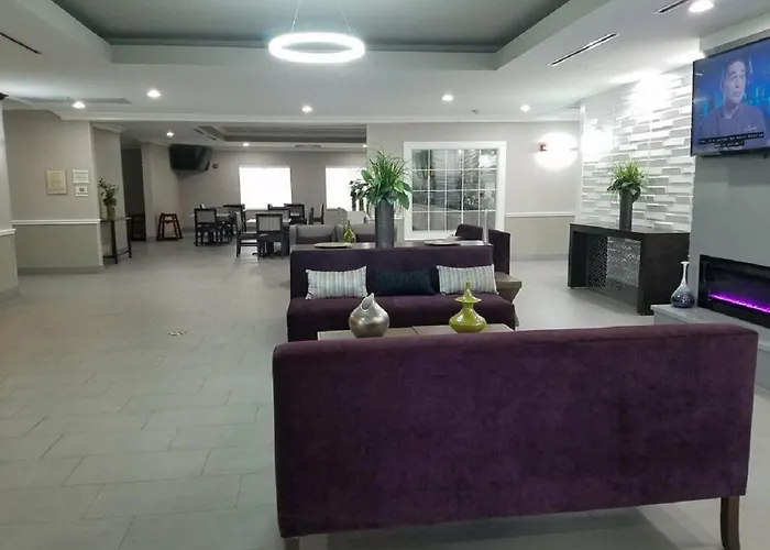 La Quinta By Wyndham Houston - Magnolia Hotel
