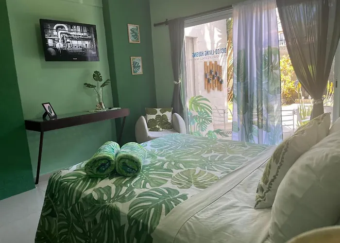 Dici Co-Living Housing Cabo San Lucas Bed & Breakfast