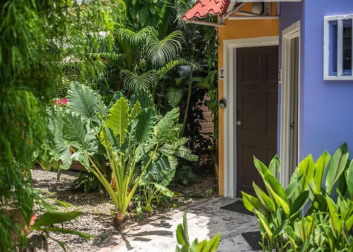 Jaco Lodge Quiet Place (Adults Only)