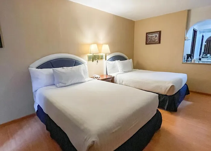 Hotel Gran Plaza & Convention Center Guanajuato