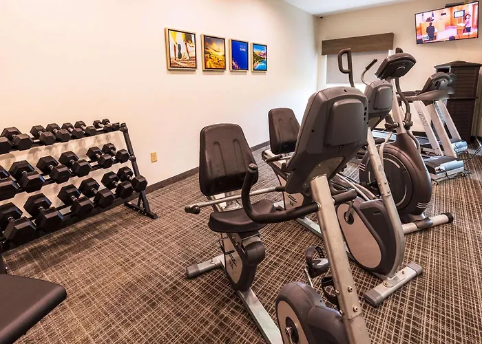 Comfort Inn & Suites New Iberia - Avery Island