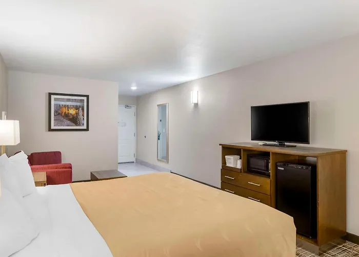 Quality Inn & Suites Carlsbad Caverns Area