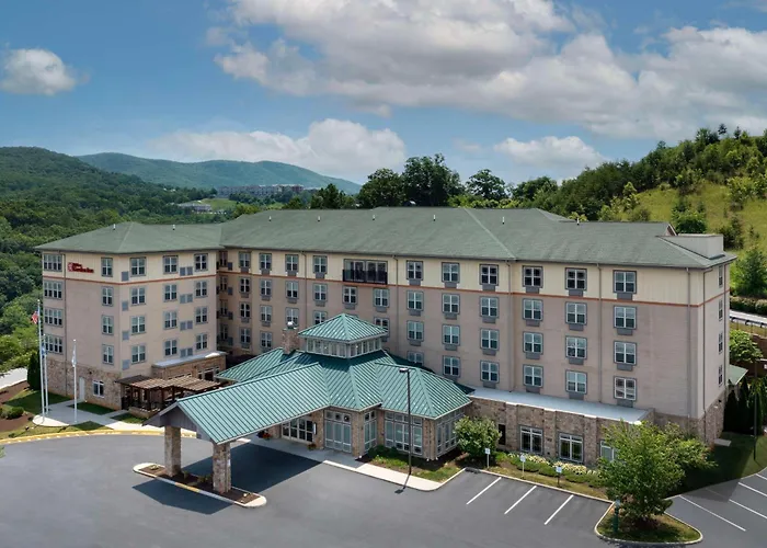 Roanoke Hotels