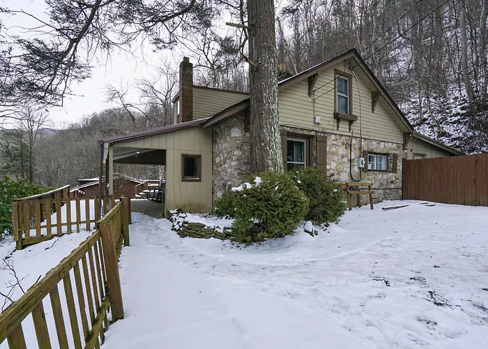 River Front Resort Elkins