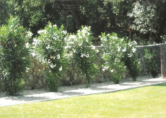 Spanish Villa Inn St. Helena