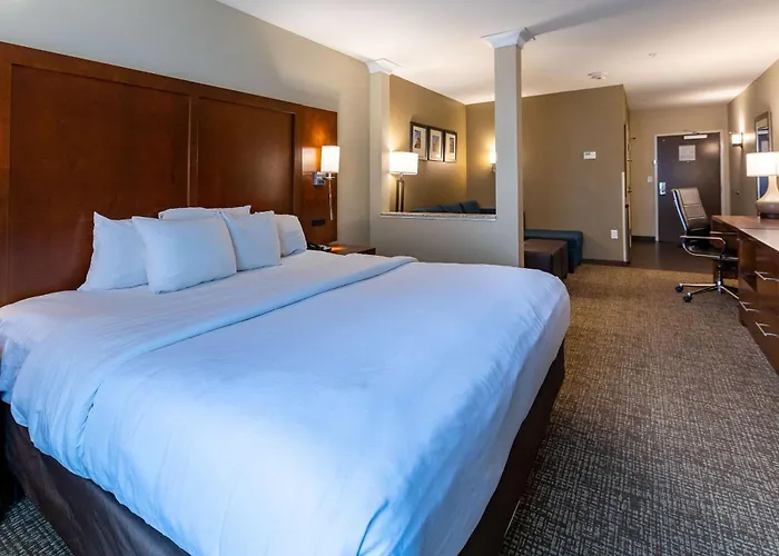 Comfort Suites Denver Near Anschutz Medical Campus Aurora