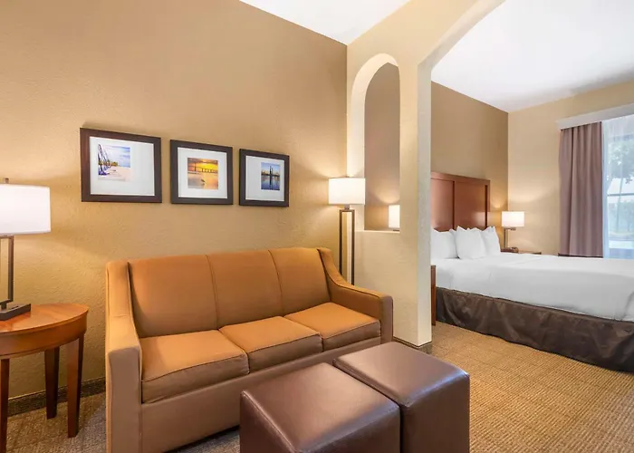 Comfort Inn & Suites Northeast - Gateway St. Petersburg