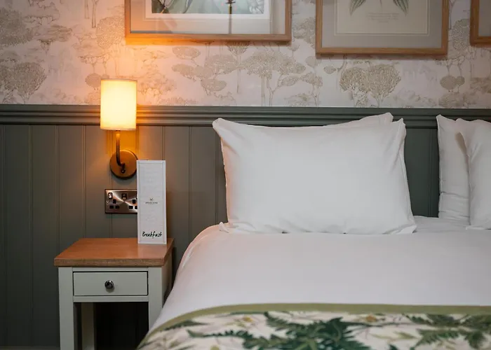 Buckingham Hotels