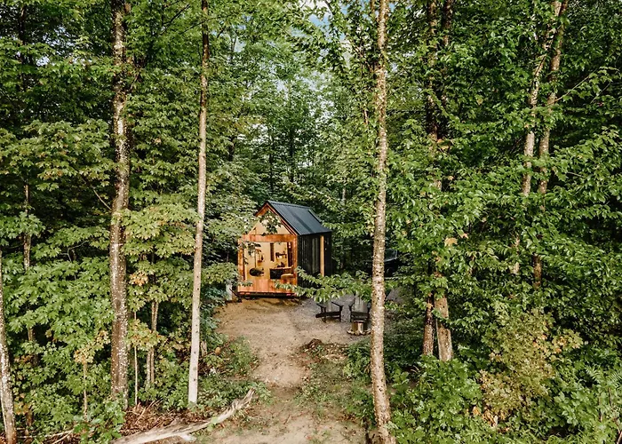 Woodstock Hotels