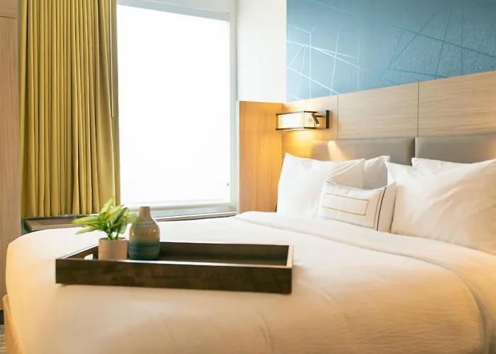Springhill Suites By Marriott South Bend Notre Dame Area