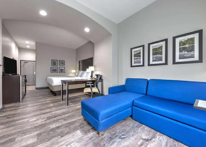 La Quinta By Wyndham Tyler - University Area