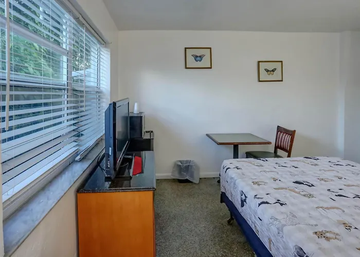 Richard'S Pet Friendly Motel Hollywood