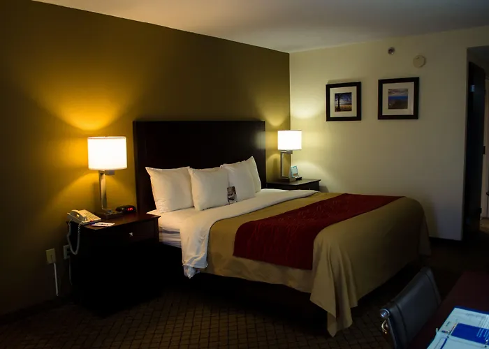 Quality Inn Clarksville - Exit 11