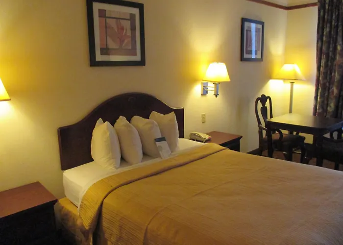 Motel 6-Seaford, De