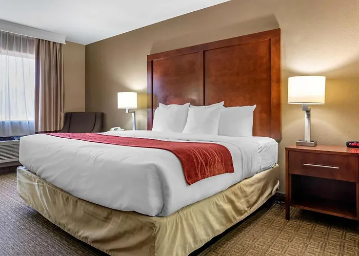 Comfort Inn & Suites Leeds I-20