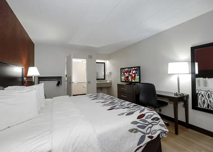 Red Roof Inn Cleveland - Medina