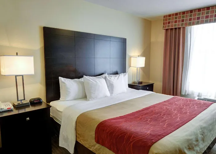 Comfort Inn & Suites Amarillo West Near Medical Center
