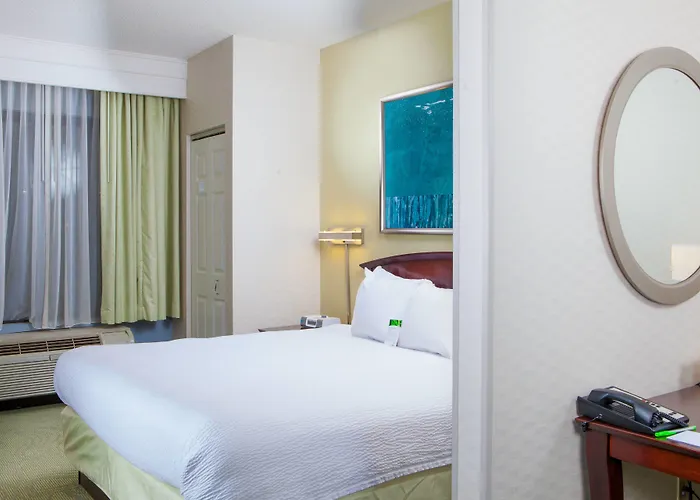 Springhill Suites By Marriott Norfolk Virginia Beach