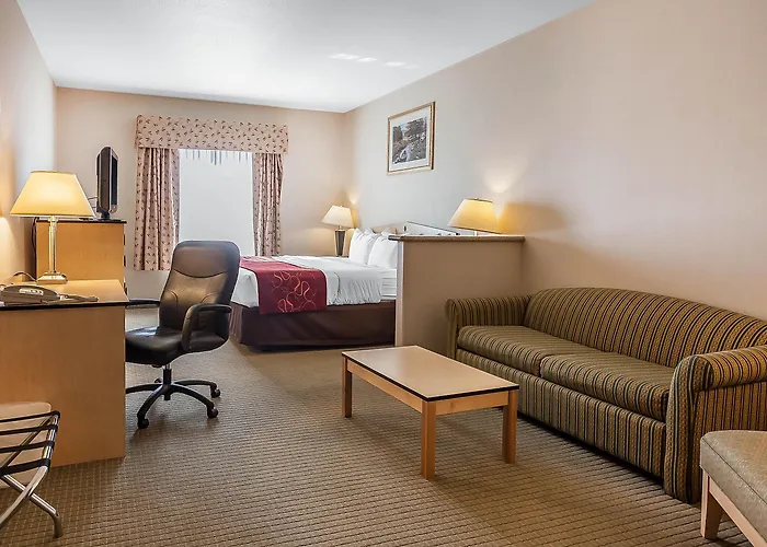 Comfort Inn & Suites Airport Convention Center Reno