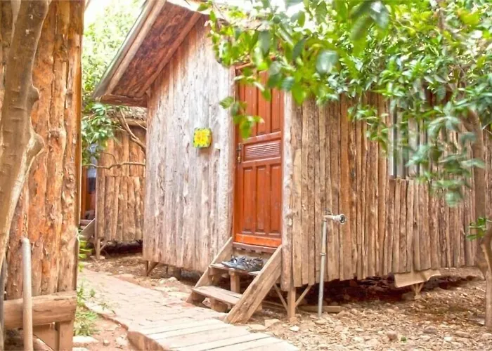 Olympos Hotels