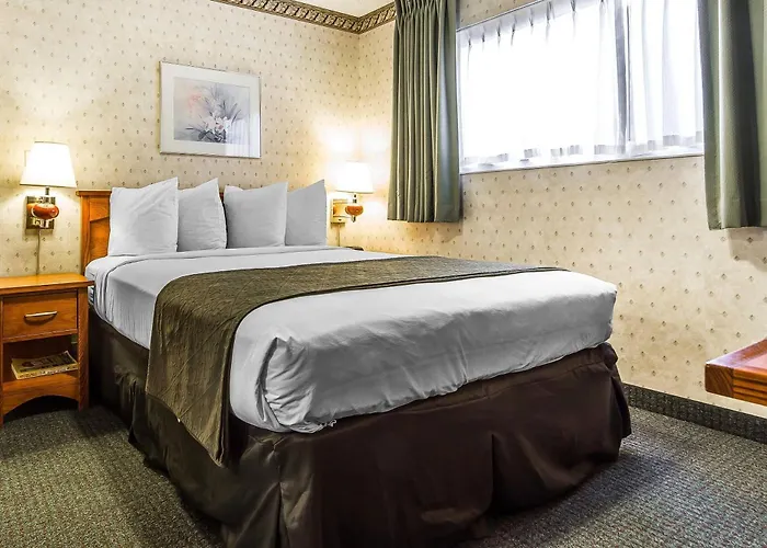 Quality Inn & Suites Silicon Valley Santa Clara