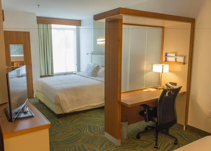 Springhill Suites By Marriott Sumter