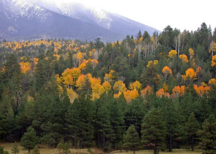 Elden Trails Bed And Breakfast Flagstaff