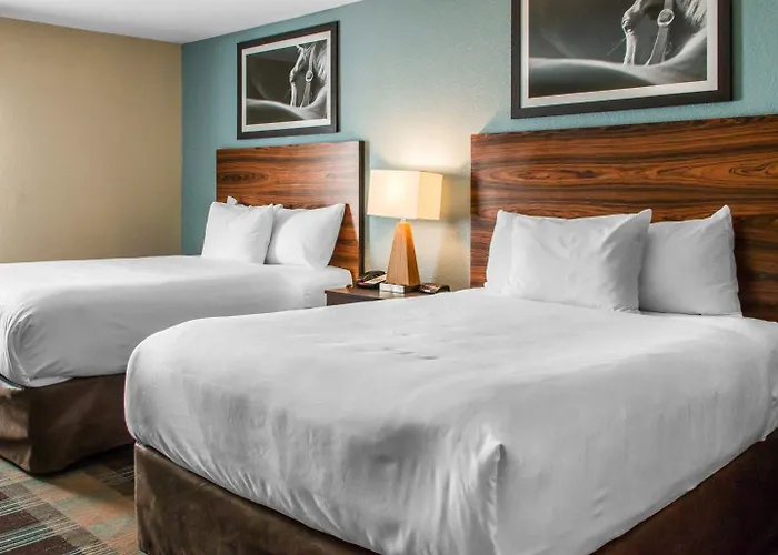 Mainstay Suites Cotulla