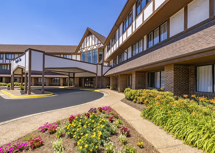 Palmyra Hotels