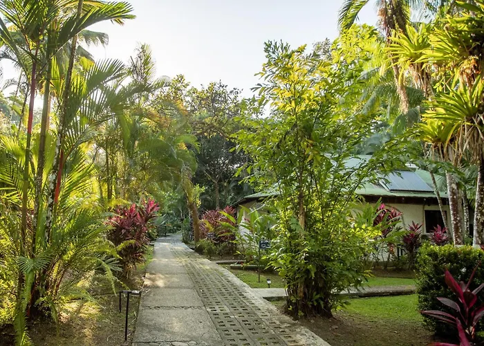 Dominical Hotels