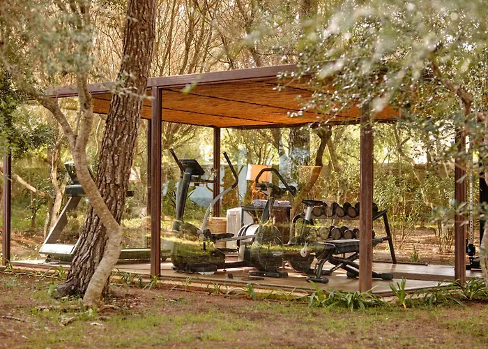 Canyamel (Mallorca) Hotels