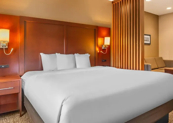 Comfort Suites Florence - Cincinnati South