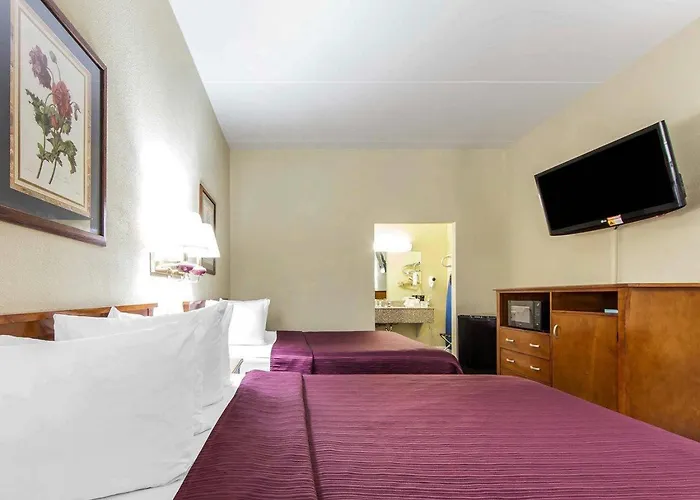 Quality Inn Maysville