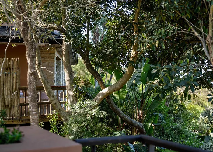 Knysna Hotels