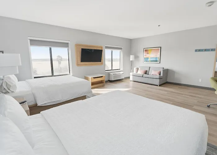 Hampton Inn & Suites Pharr