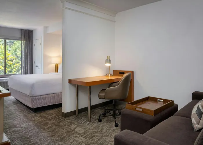 Springhill Suites By Marriott Charleston North North Charleston