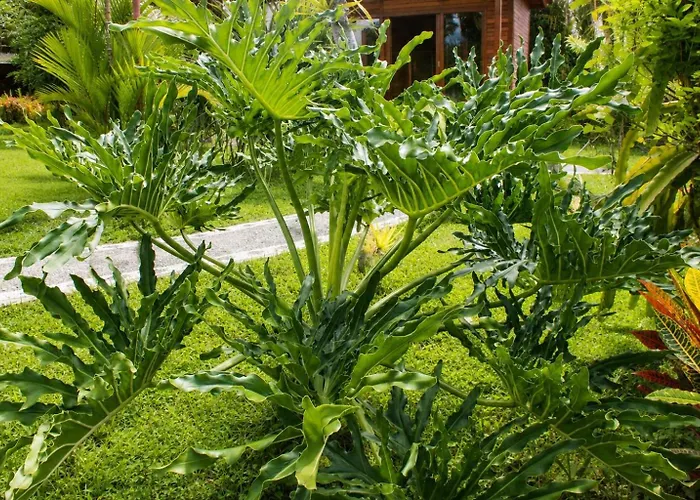 Sidemen (Bali) Hotels