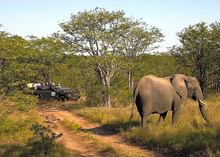 Kruger National Park Hotels
