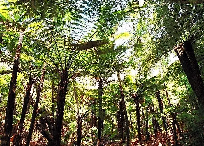 Coromandel Hotels