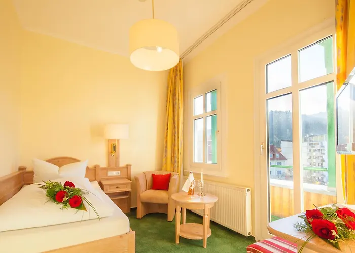 Bad Harzburg Hotels