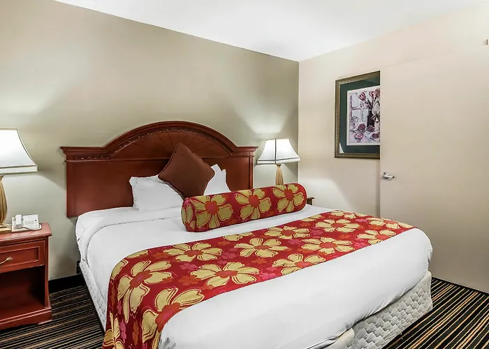 Rodeway Inn & Suites Columbia